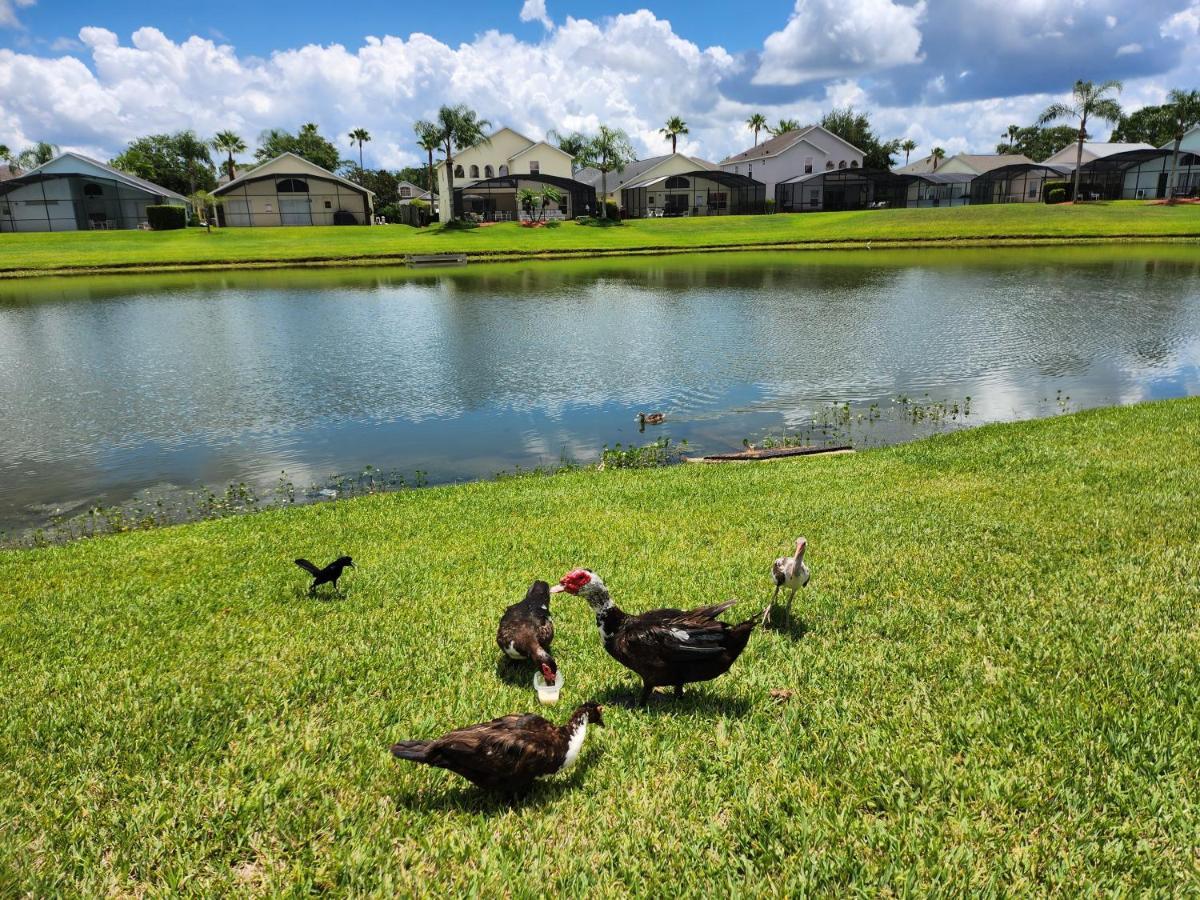 Fully Renovated, Quiet, Spacious Disney Themed Pool Home With Office Kissimmee Exterior foto